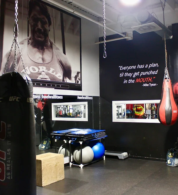 Boxing bags and plyo boxes