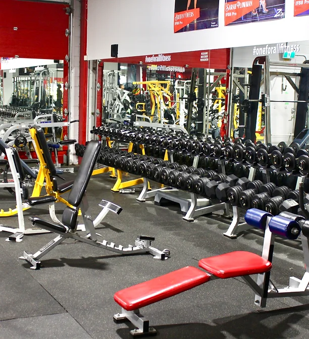 Benches and dumbbells