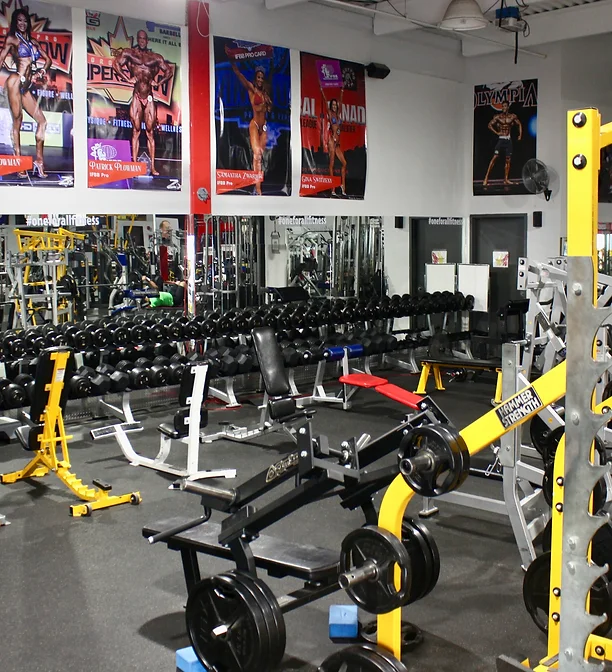 Rows of dumbbells and plate-loaded machines at the NE gym